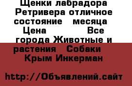 Щенки лабрадора Ретривера отличное состояние 2 месяца › Цена ­ 30 000 - Все города Животные и растения » Собаки   . Крым,Инкерман